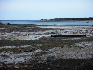 uitzicht op St Andrews Harbour bij laag water | St. Andrews-by-the-Sea